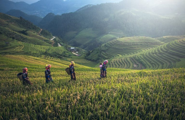 Malesia cosa vedere a marzo