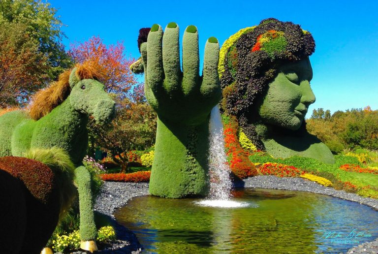 montreal cosa vedere con bambini