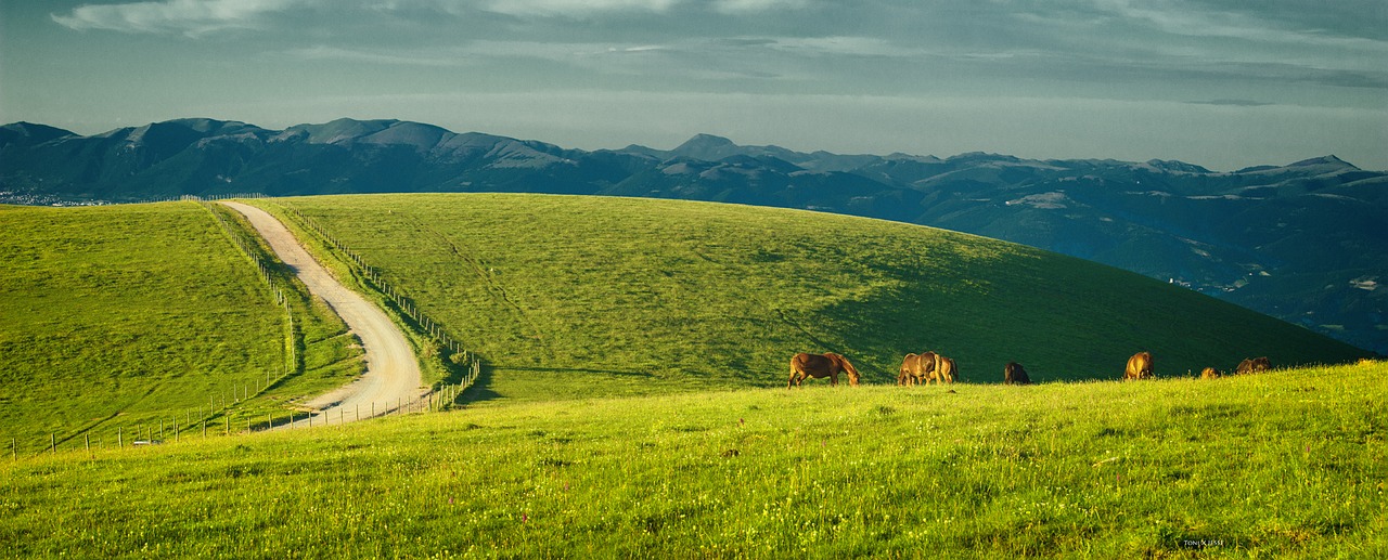 umbria