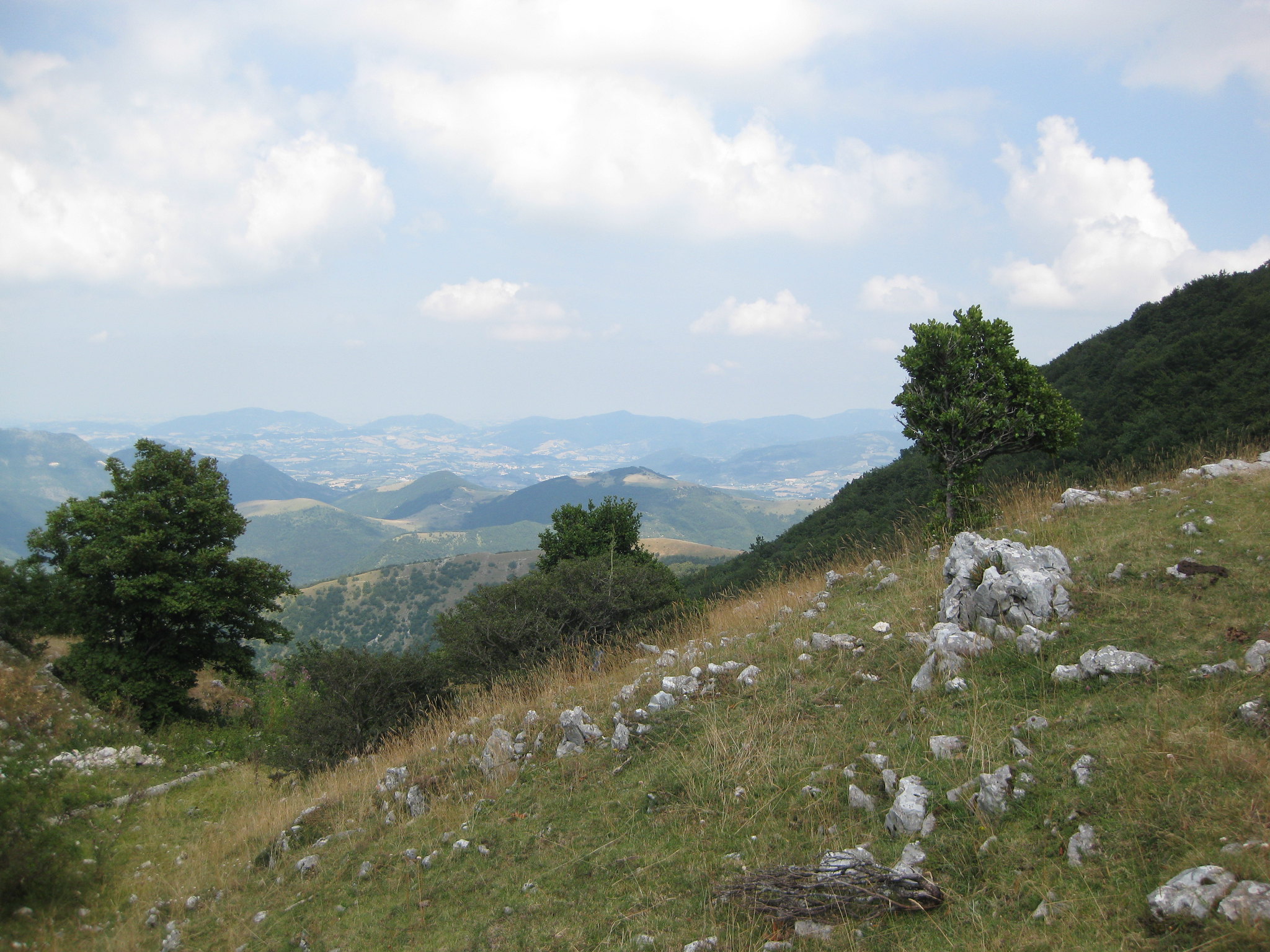 monte cucco