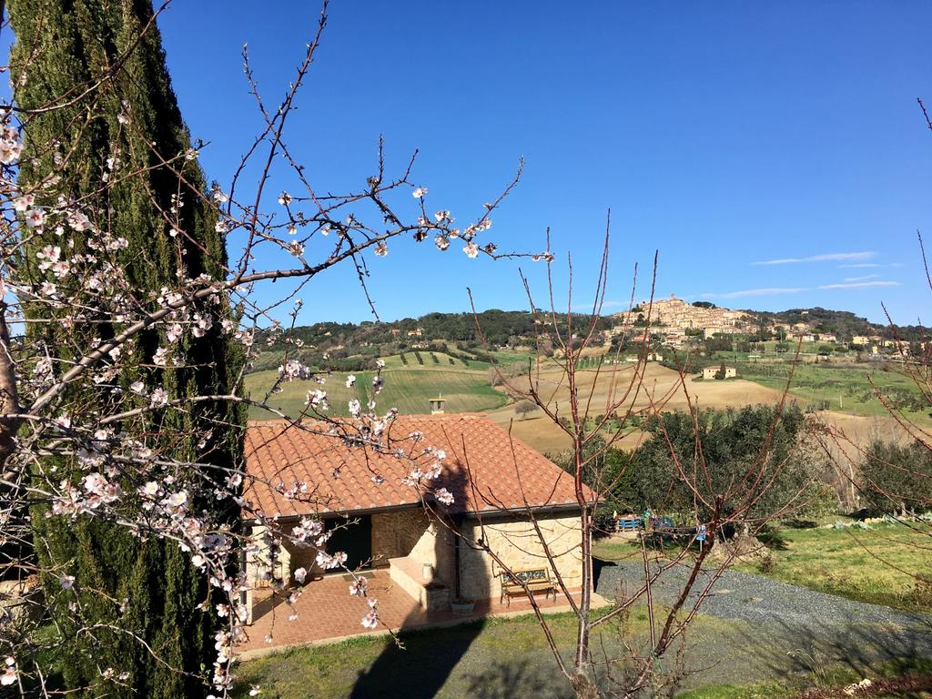 Casa delle Conchiglie