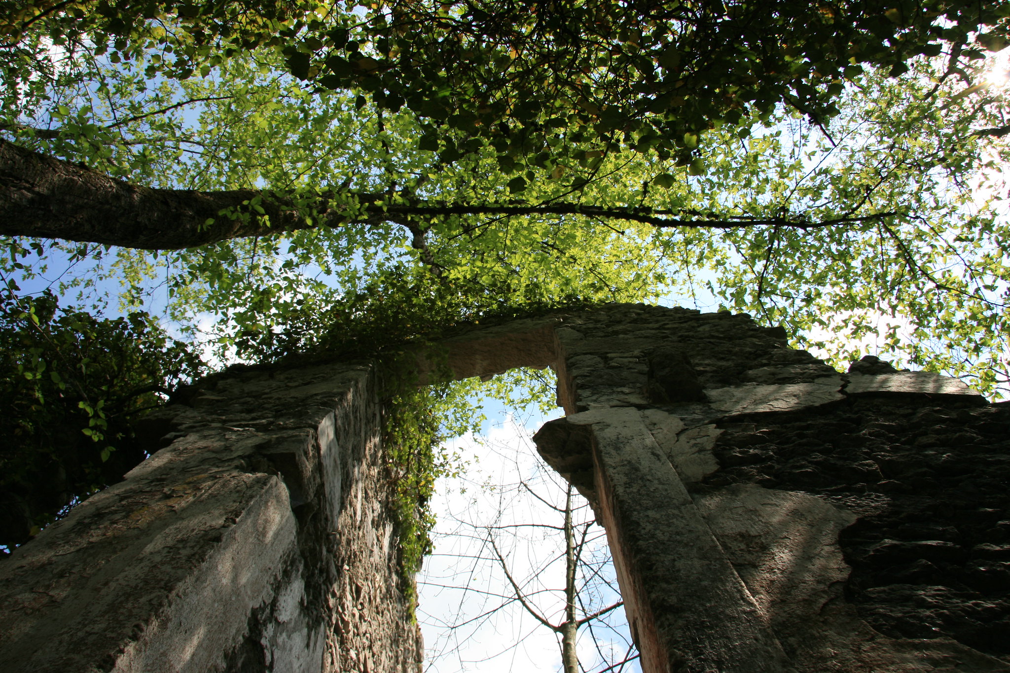 Palcoda