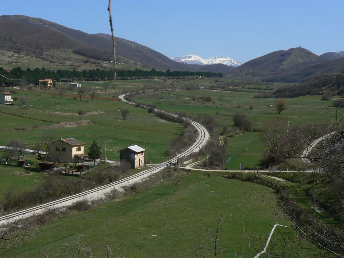 antrodo