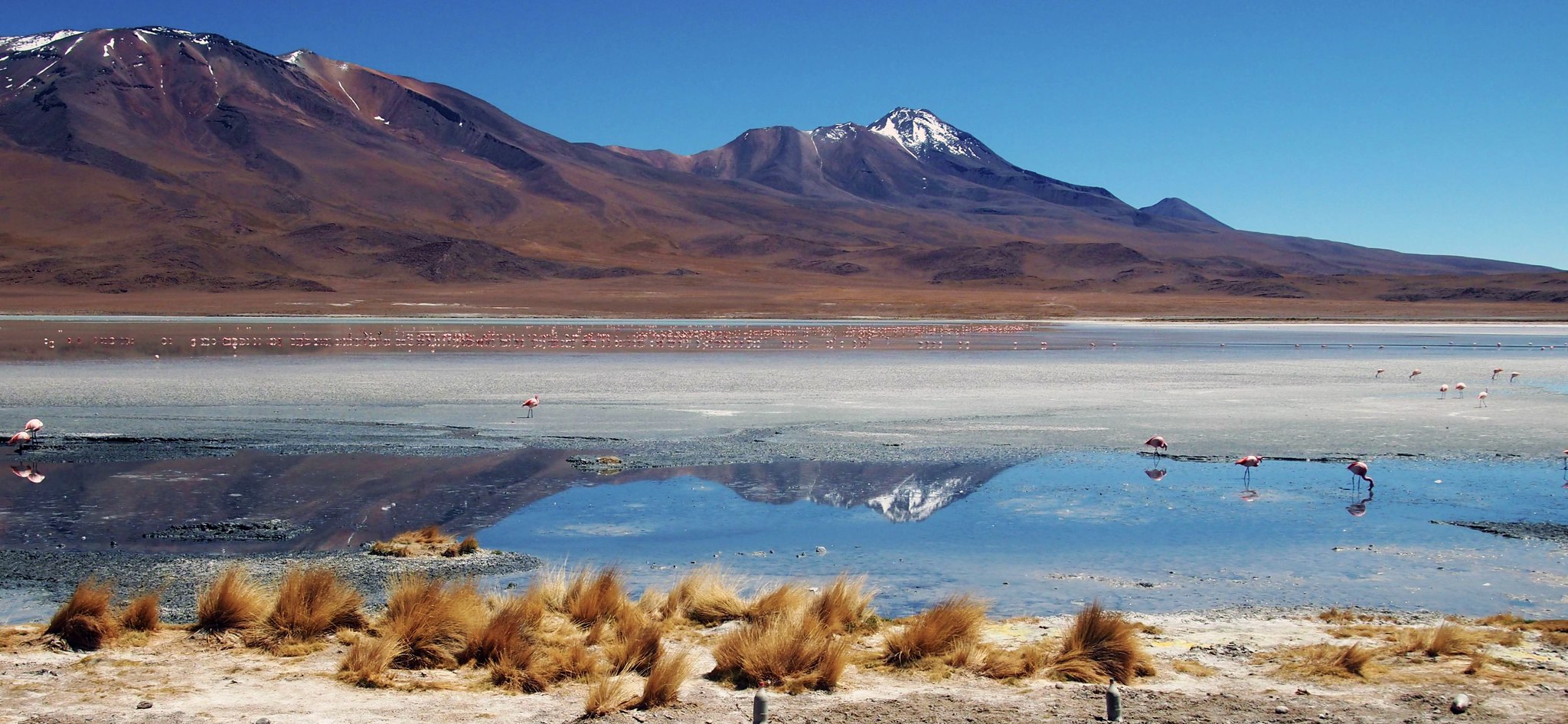 Laguna Hedionda