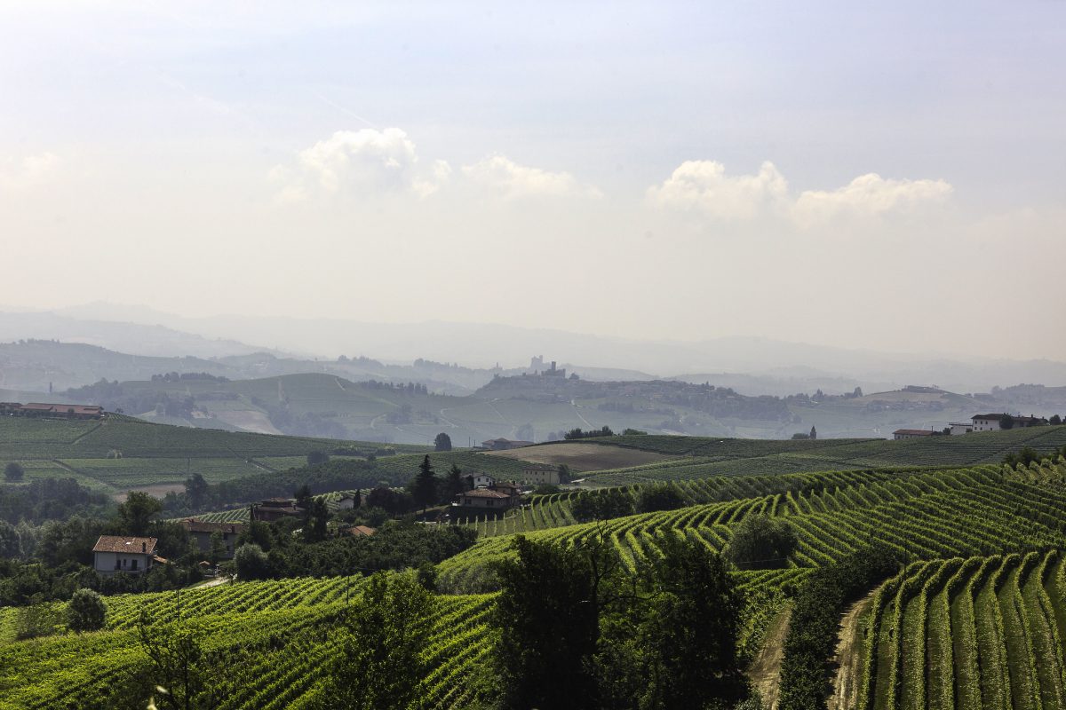 barolo