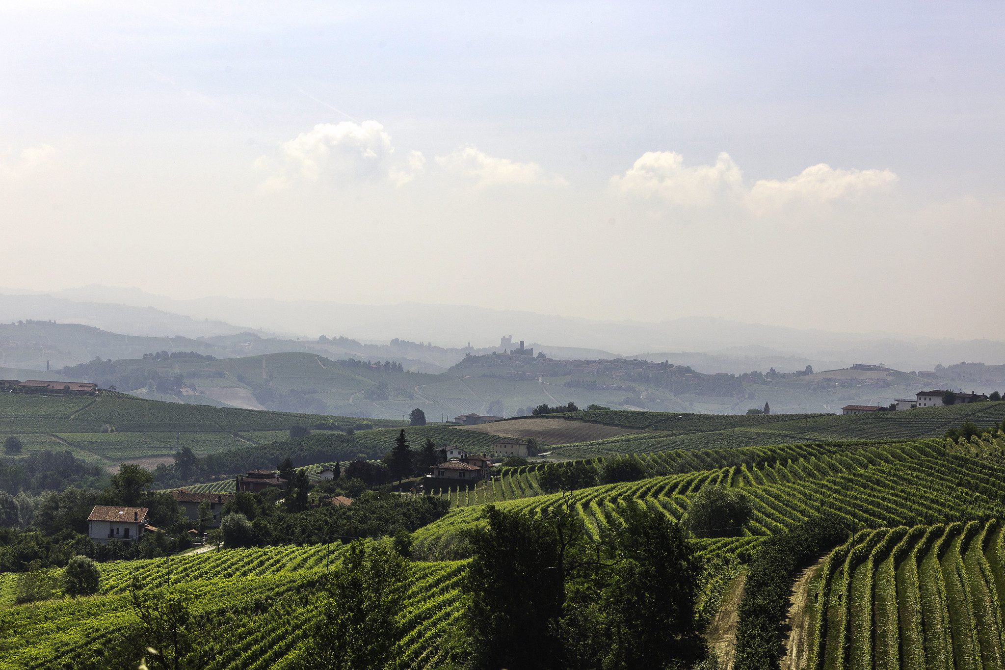 barolo