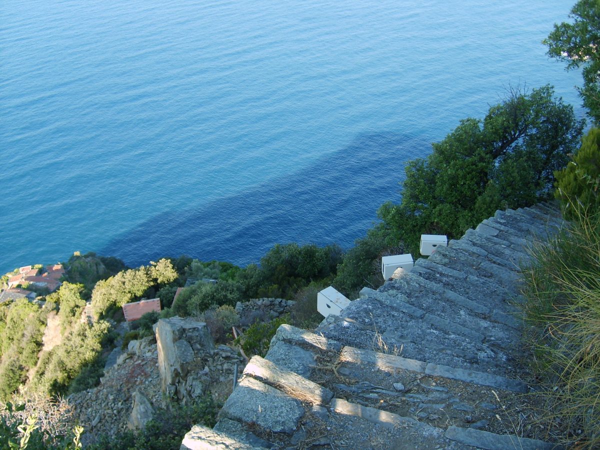 monesteroli
