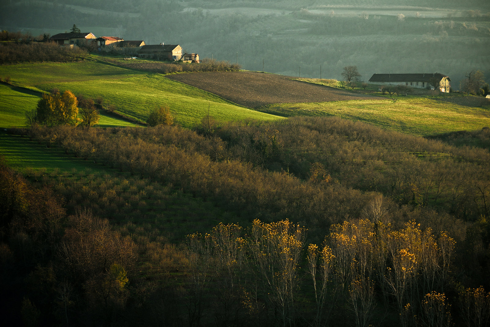 Benevello