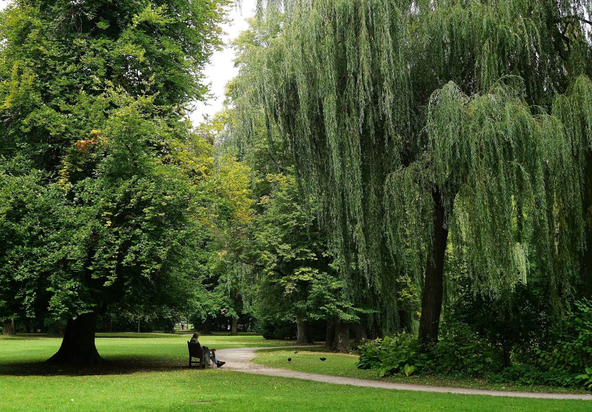 quiet park