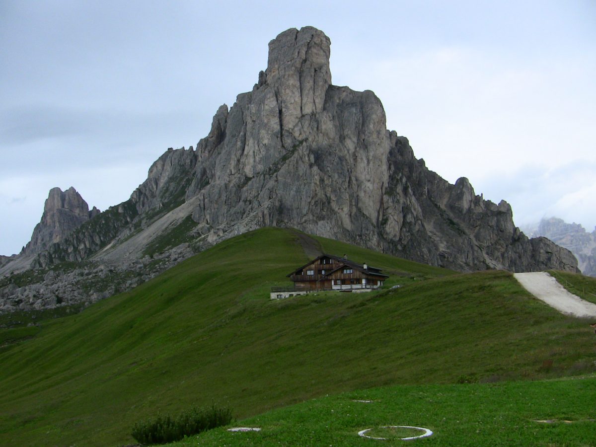 3956341