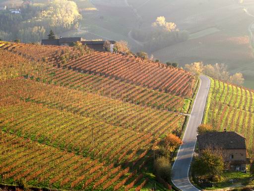 Nizza Monferrato