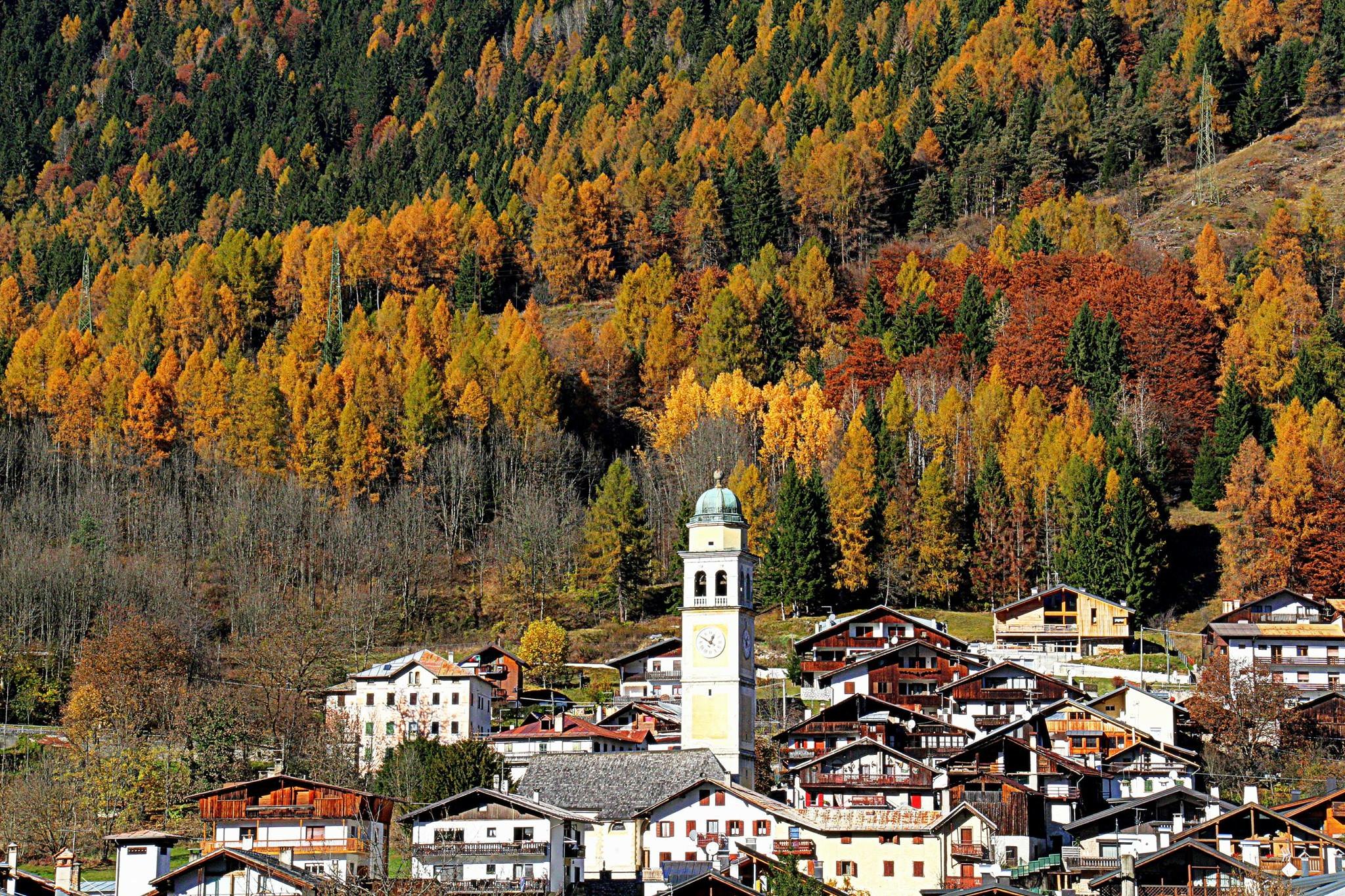 cadore
