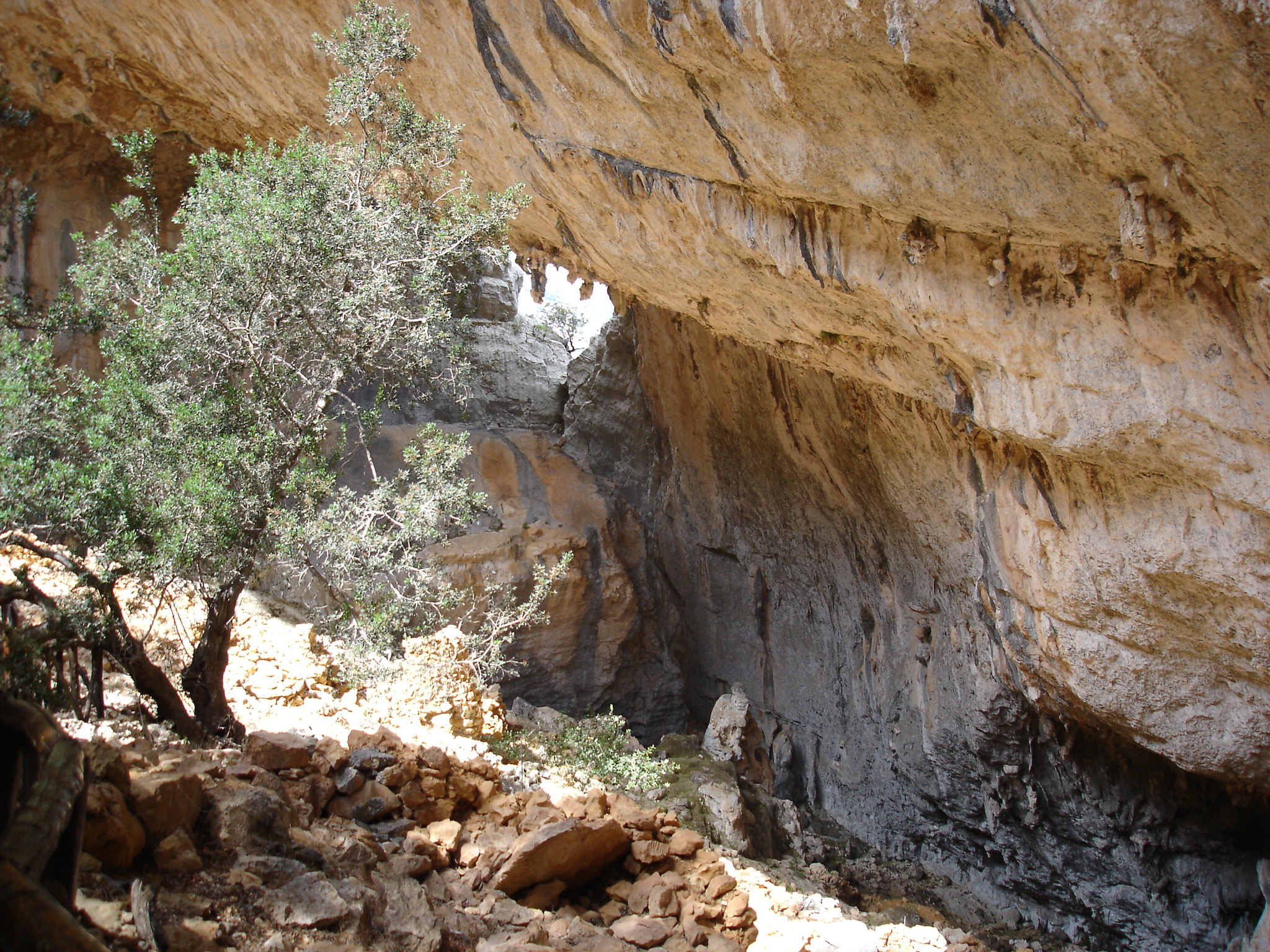 tiscali