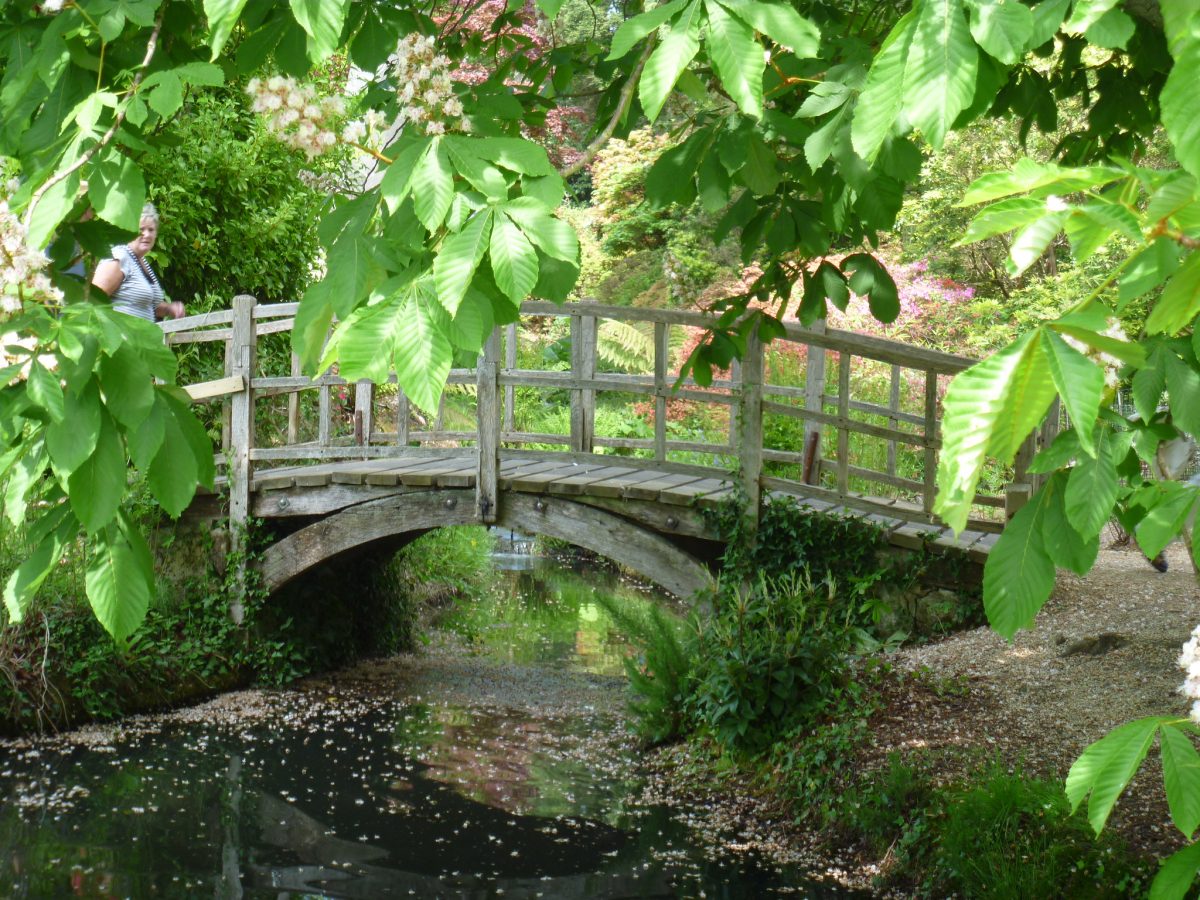 garden