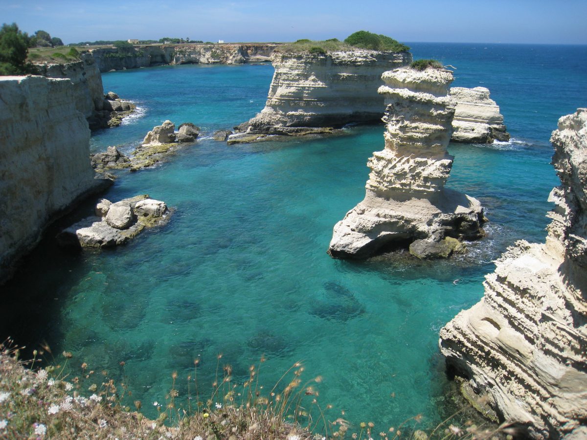 Torre s