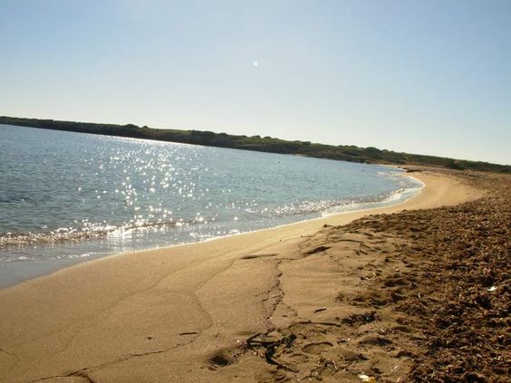 arenella