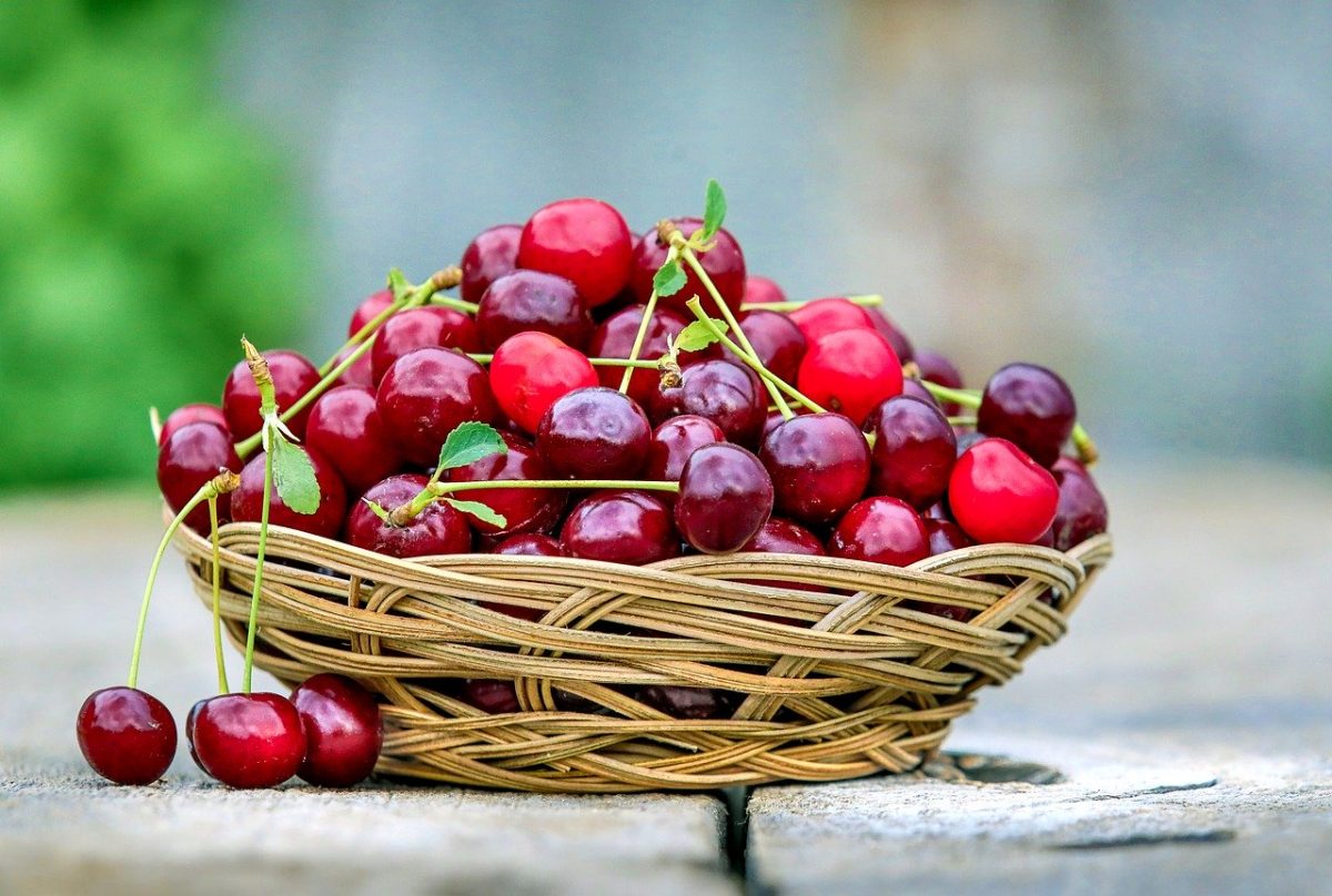 cherry-25