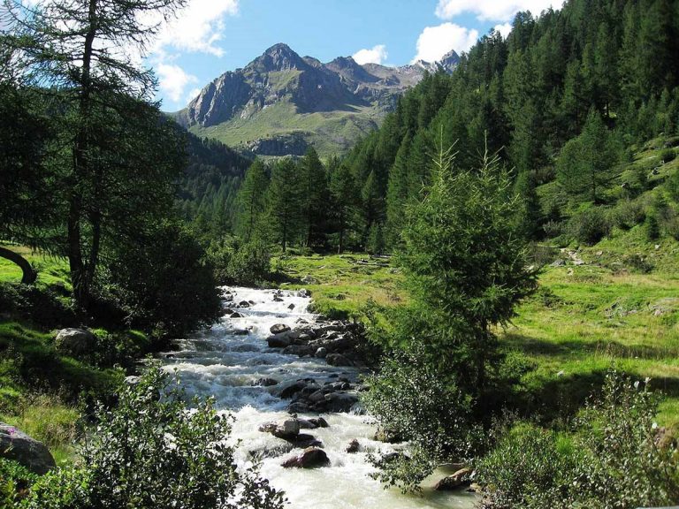 cosa vedere nel parco nazionale dello stelvio