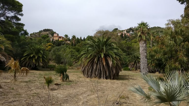 giardini hanbury ventimiglia