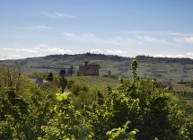 grinzane cavour cose da vedere