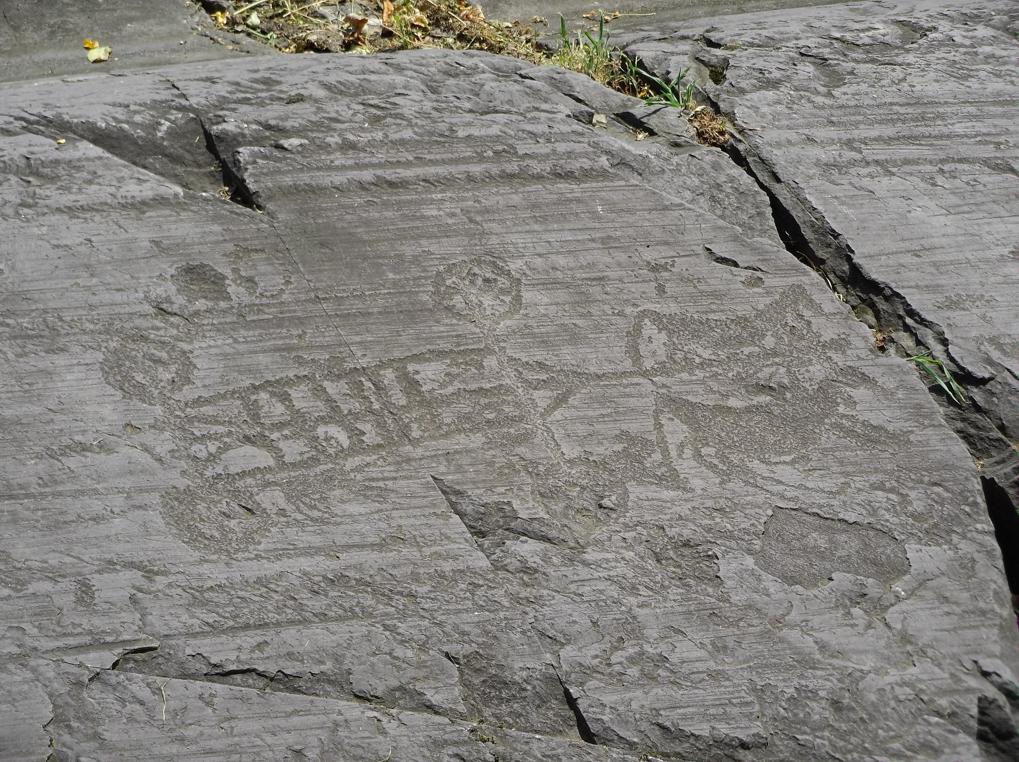 incisioni rupestri della val camonica unesco