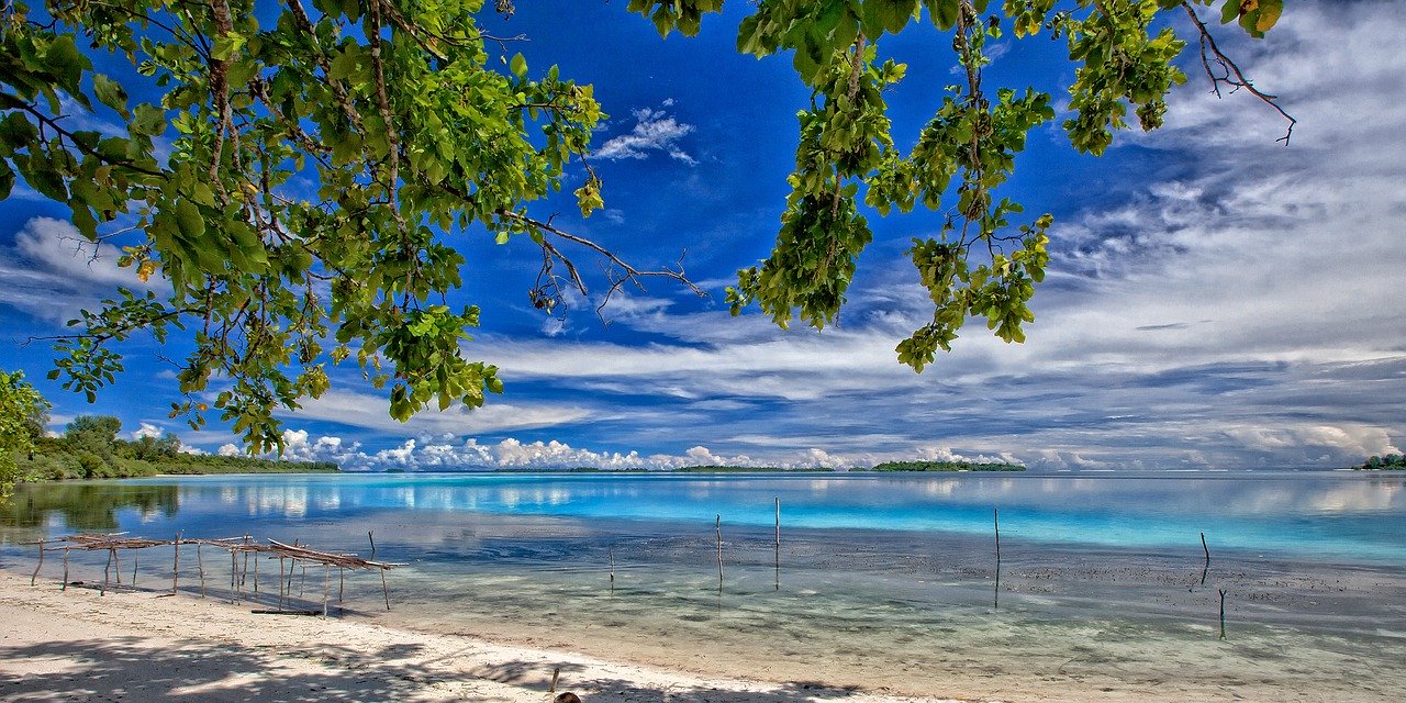 isola kura kura indonesia
