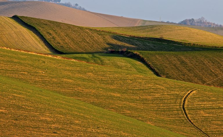 parco alta valdera peccioli