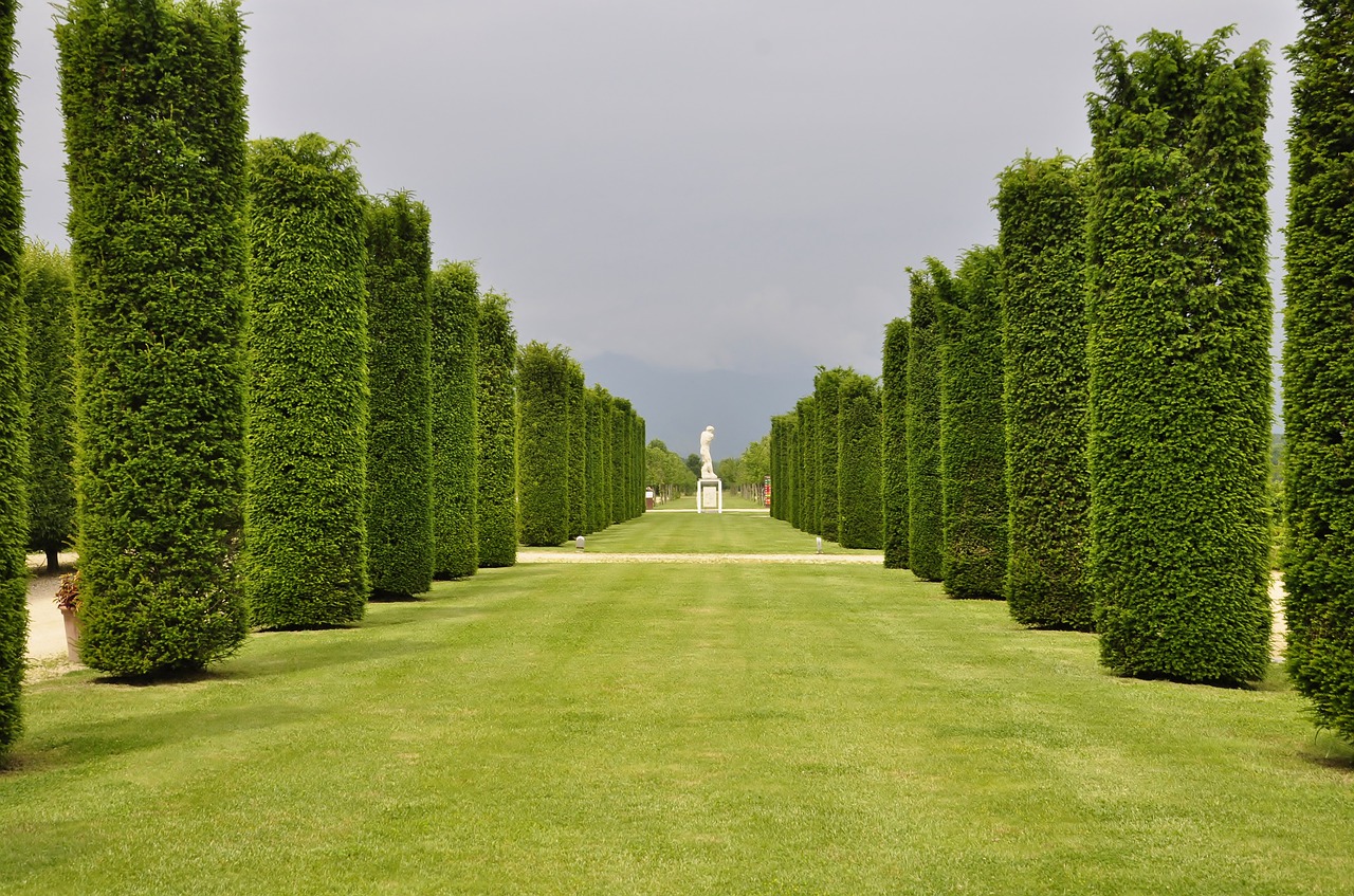 reggia di venaria giardini