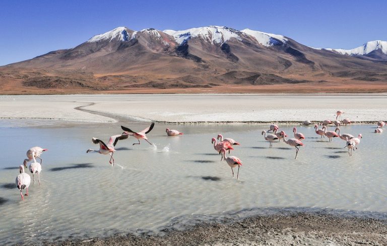 tour lagune bolivia
