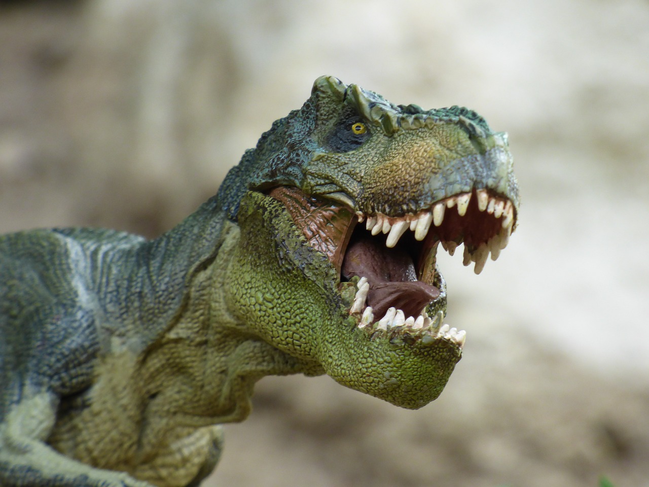 dinosauri