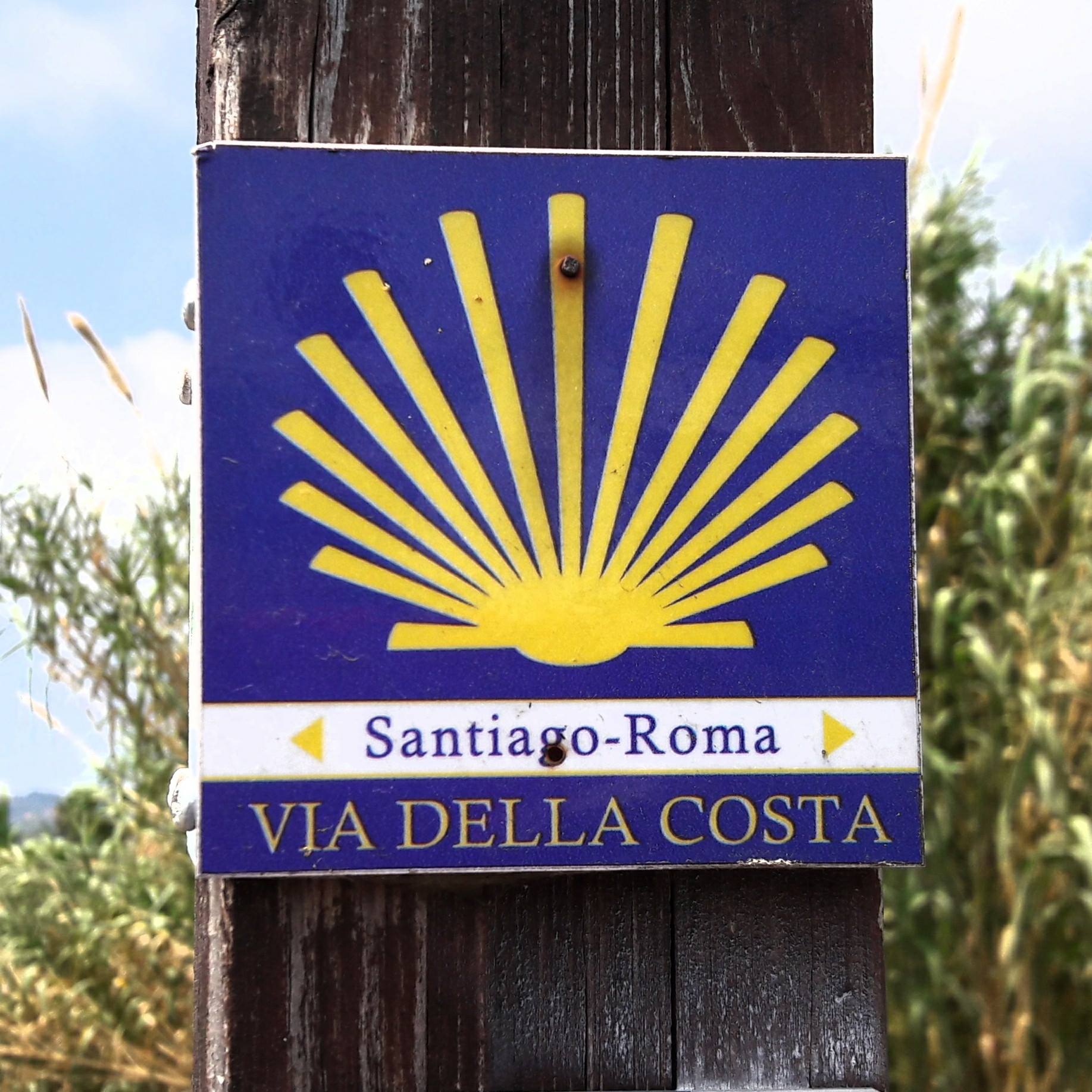 Via della Costa stemma