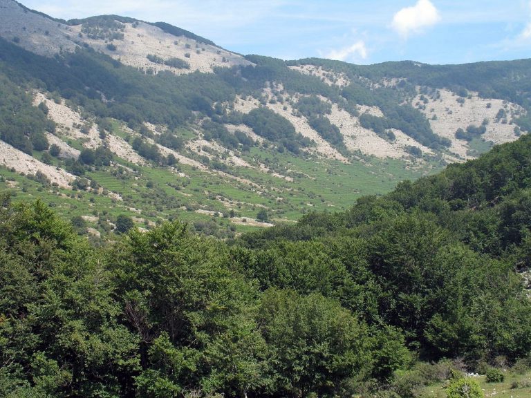 volo dell'angelo latina