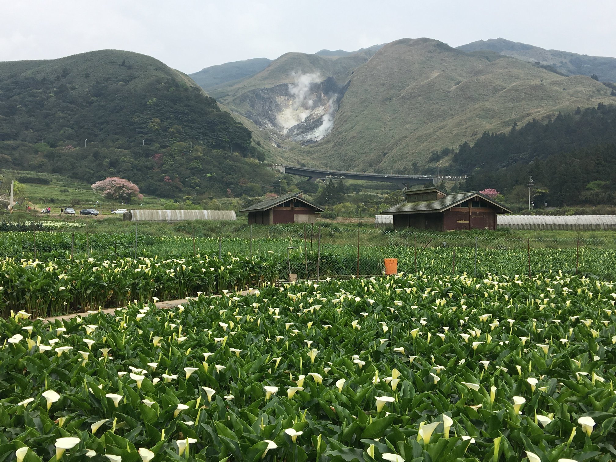 Yangmingshan