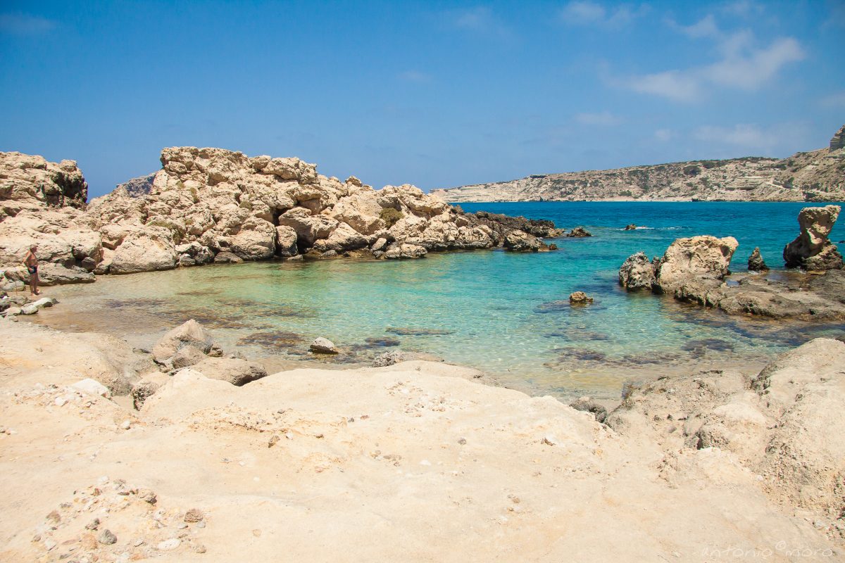 14596034