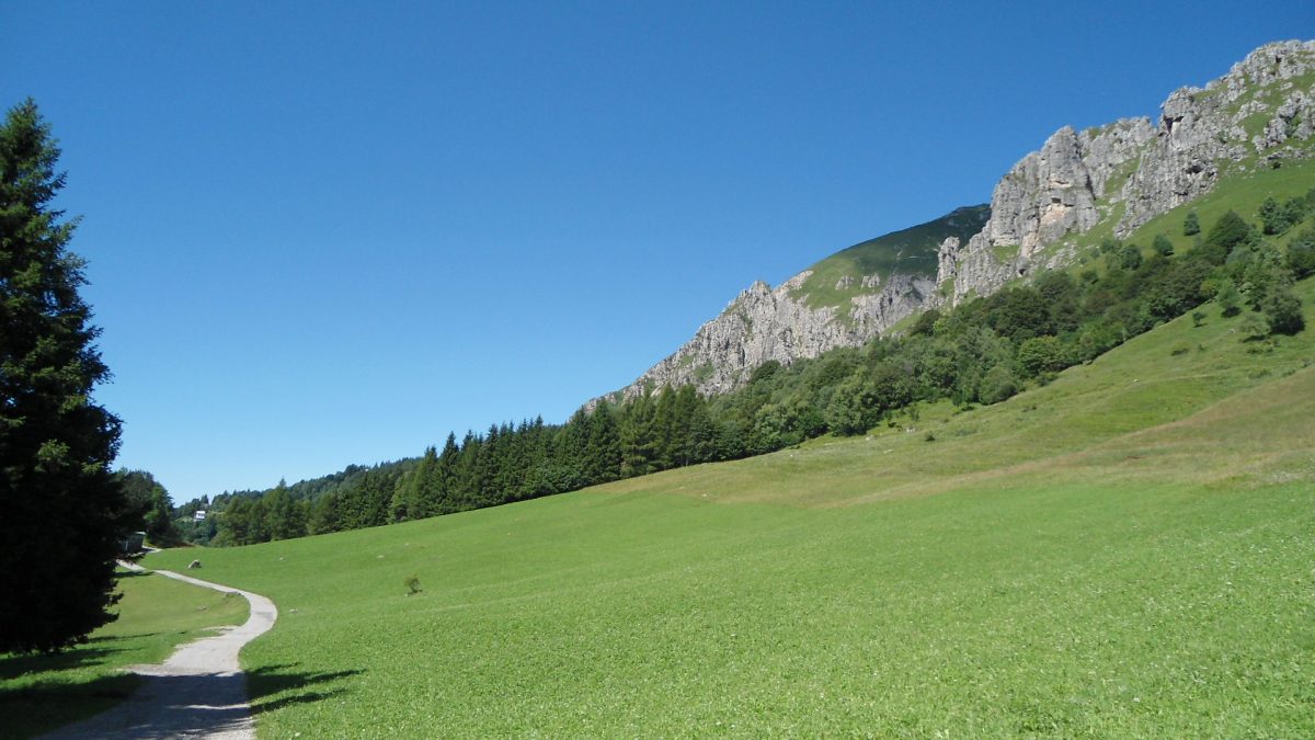resinelli