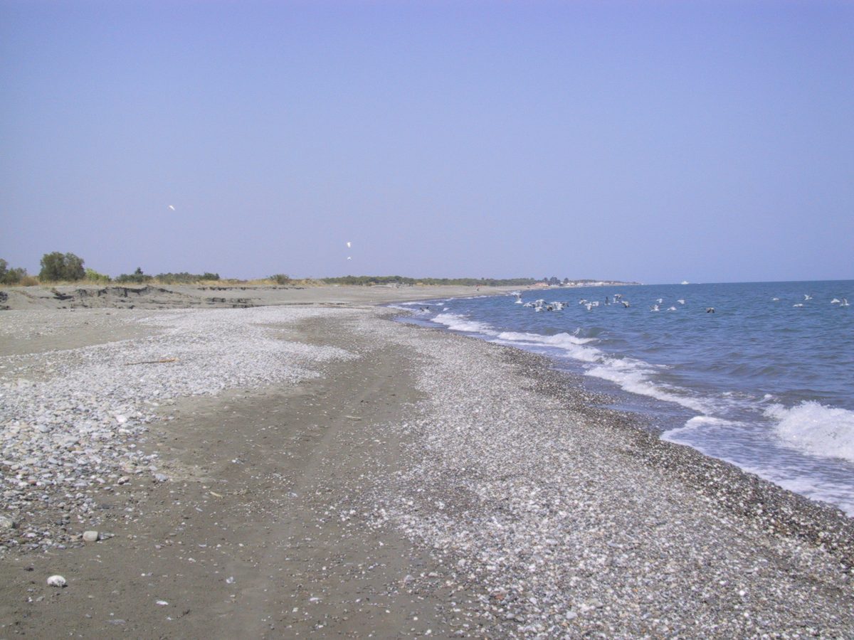 policoro