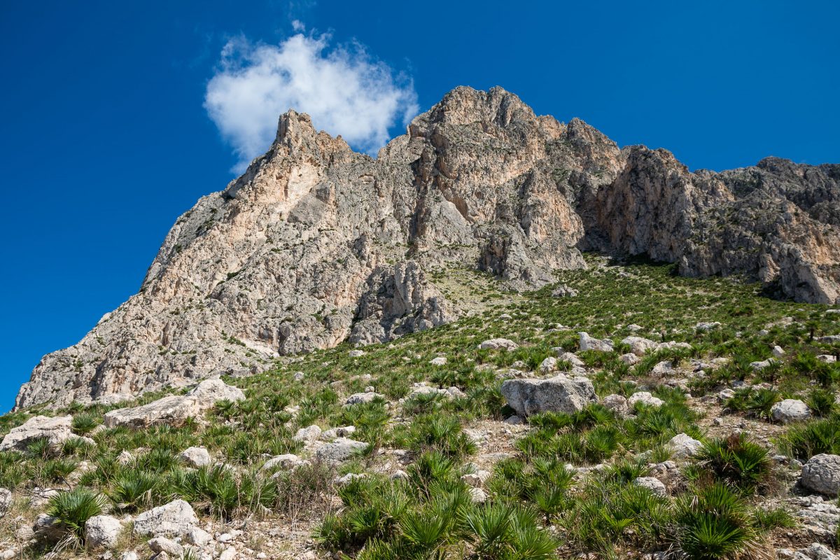 monte cofano 5