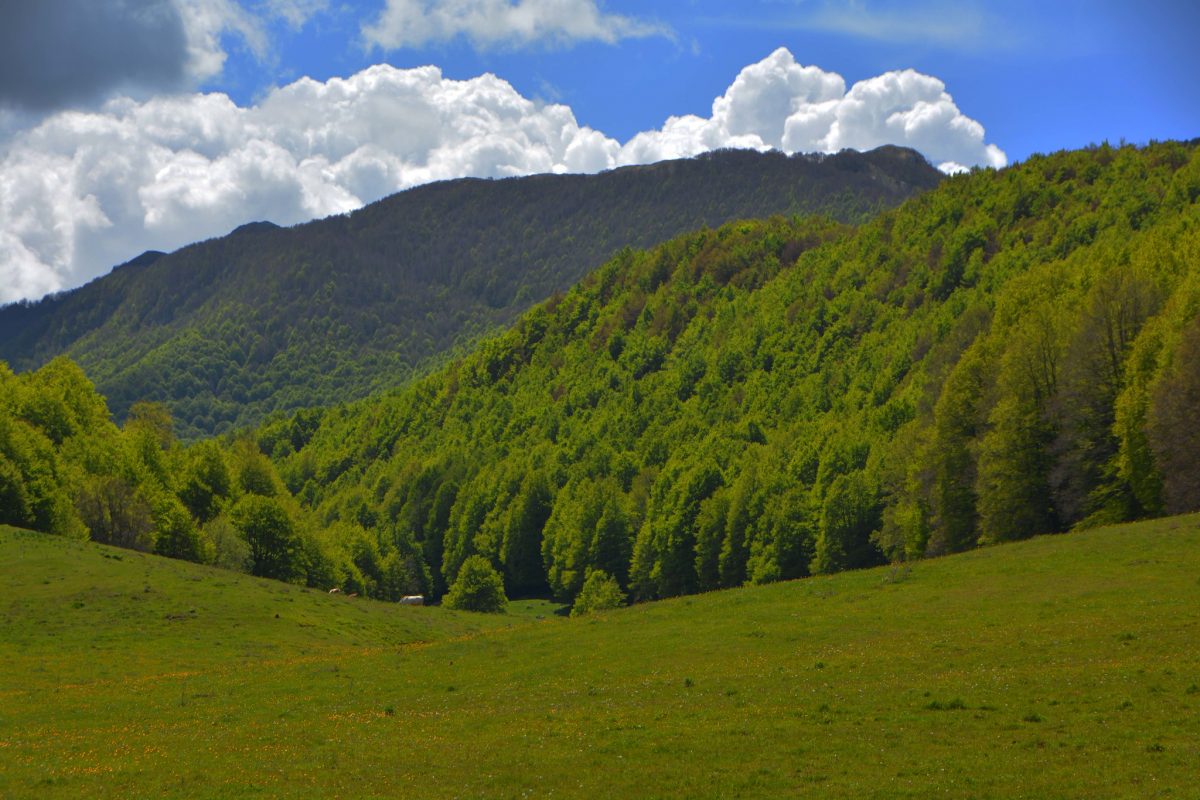 monti lazio