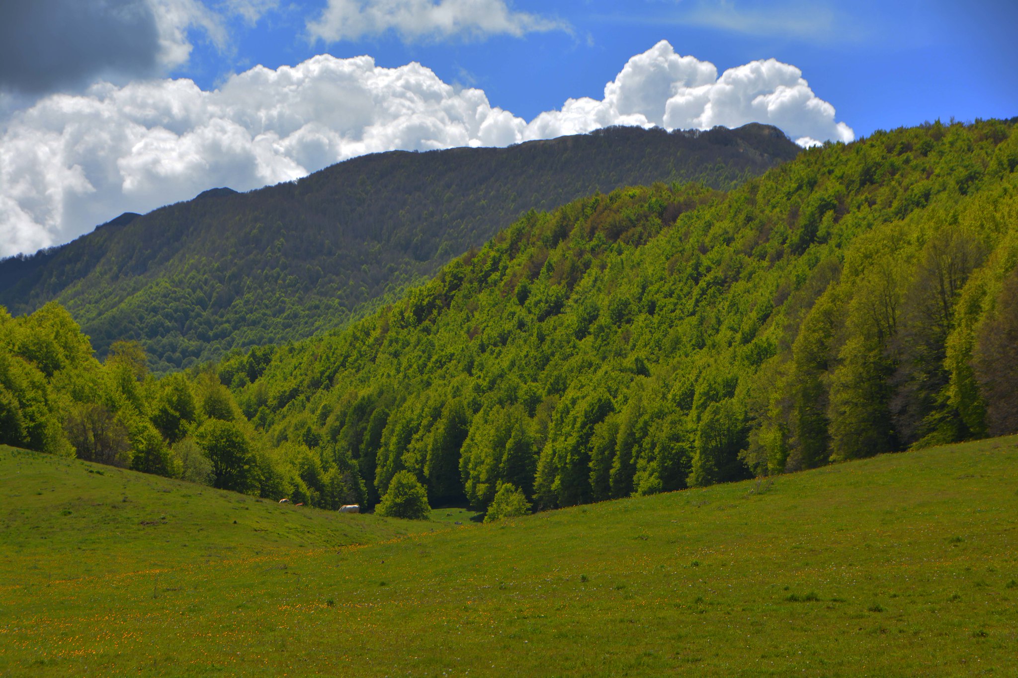monti lazio