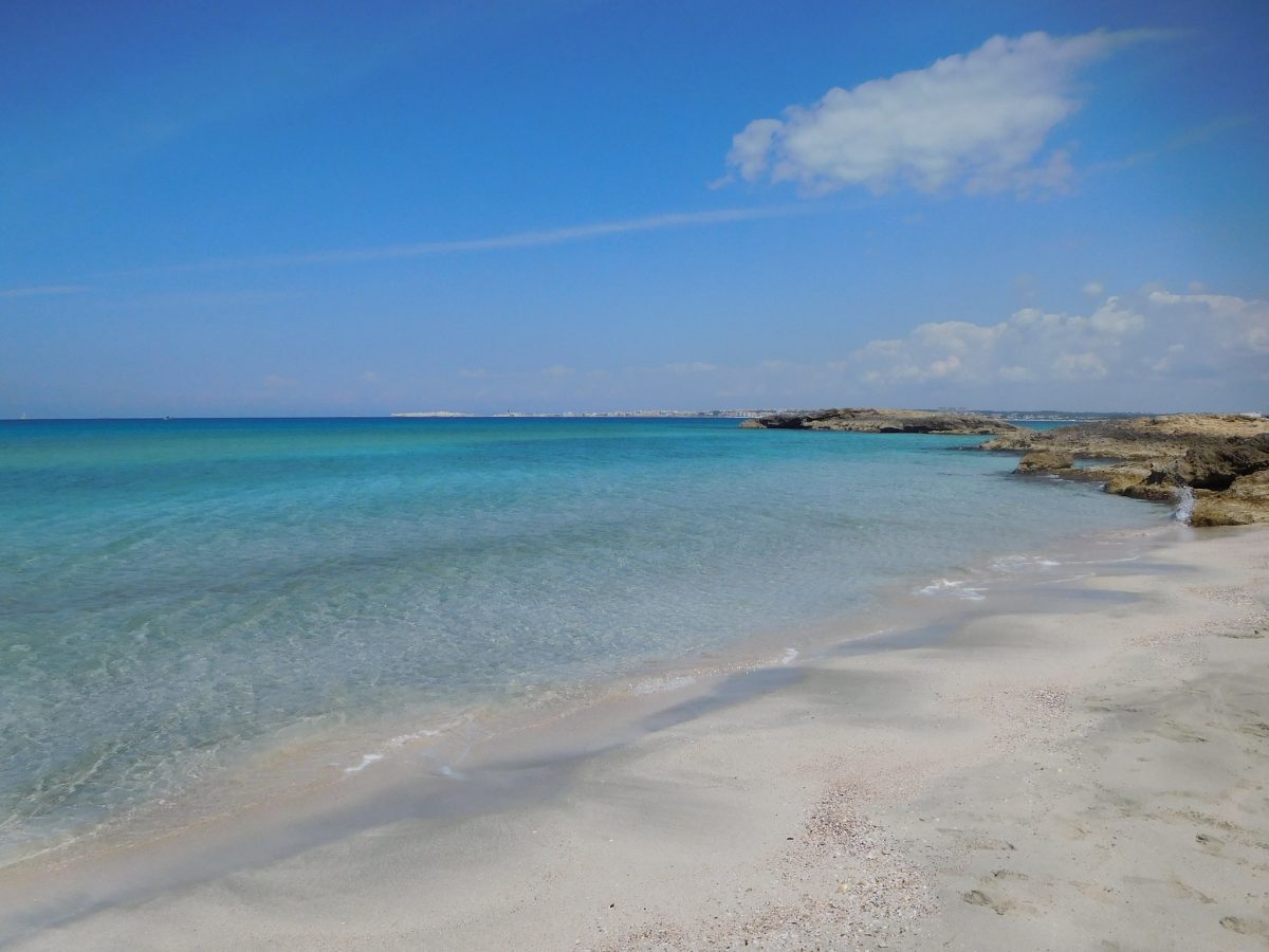 punta suina 2