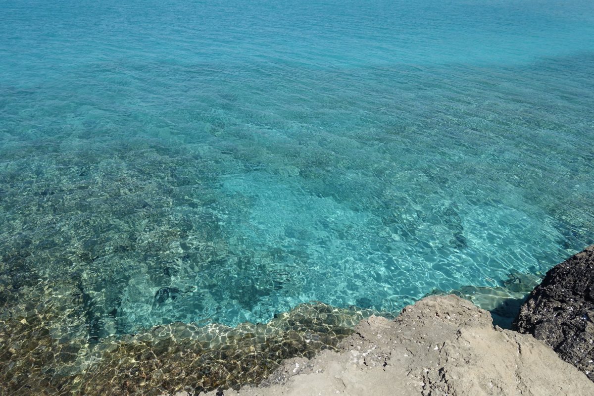 punta della suina