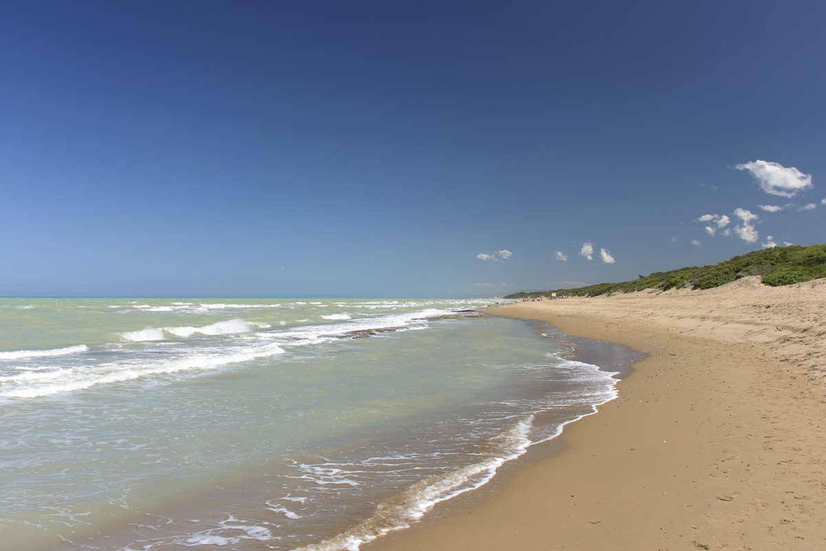 san vincenzo