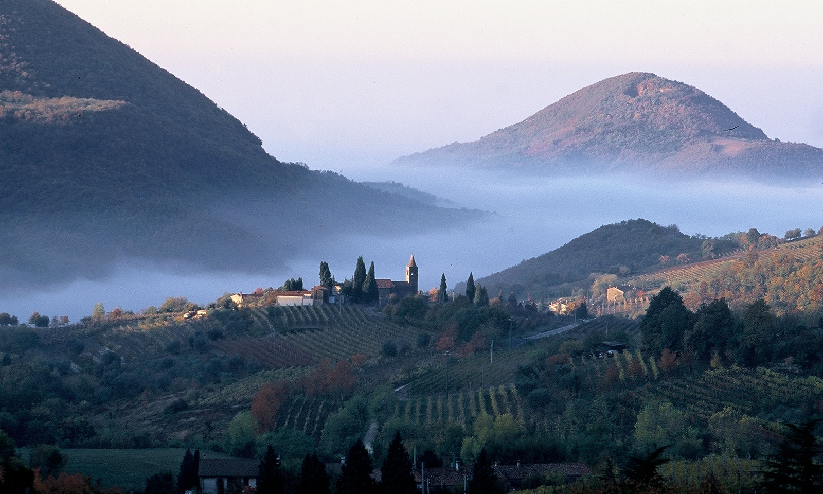 Colli Euganei