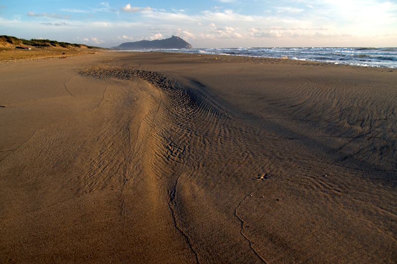 duna Litoranea