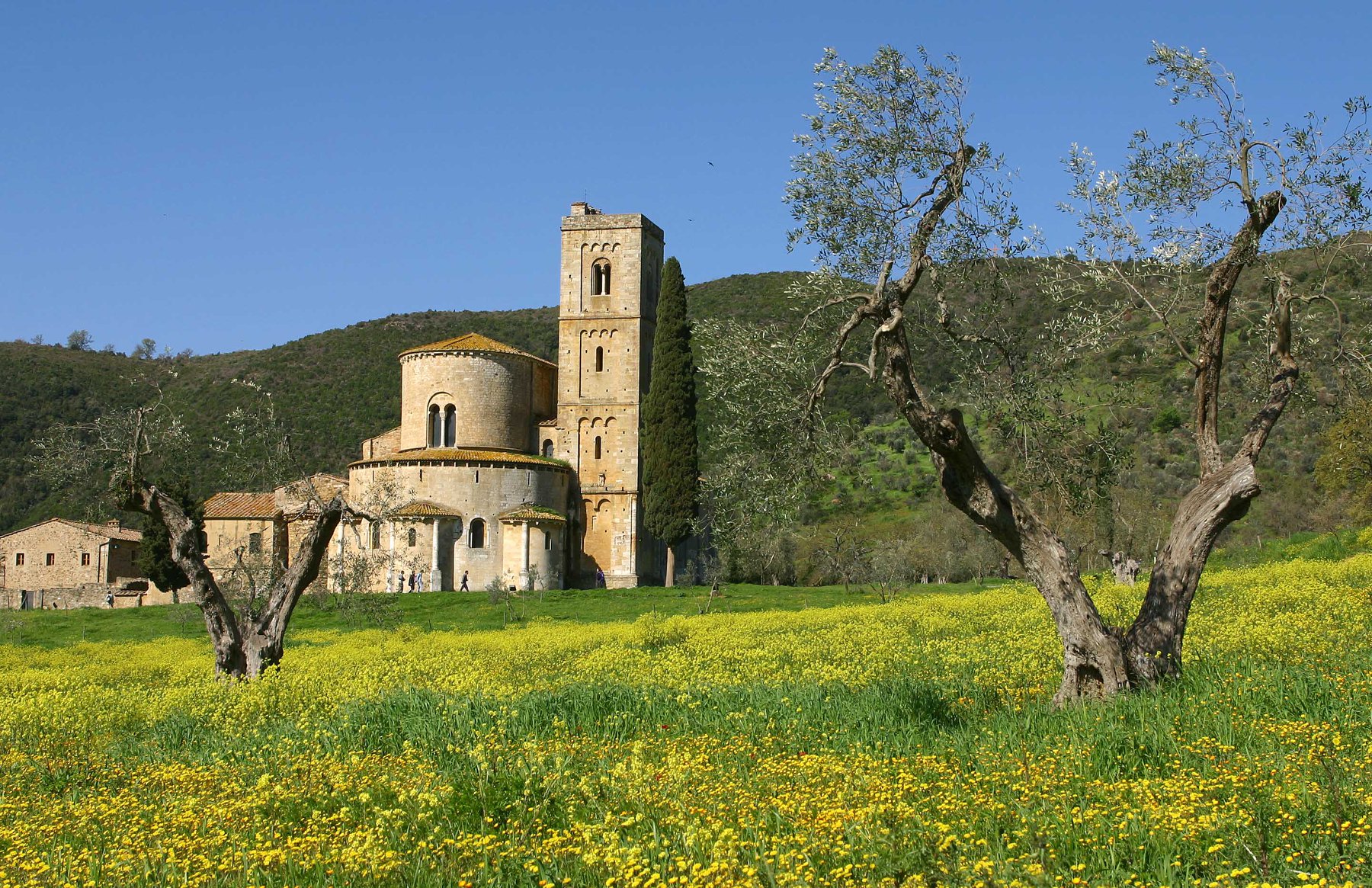 Abbazia di Sant'Antimo