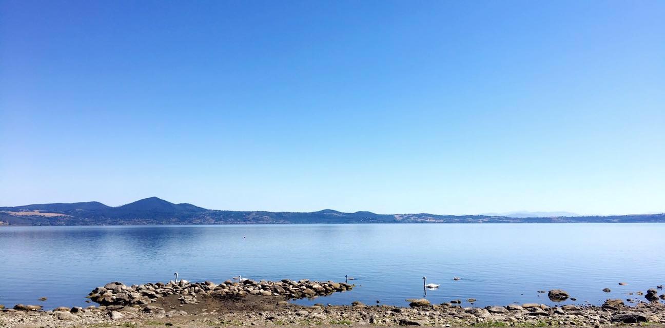 Anguillara
