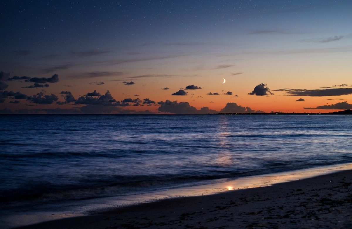 beach-4481