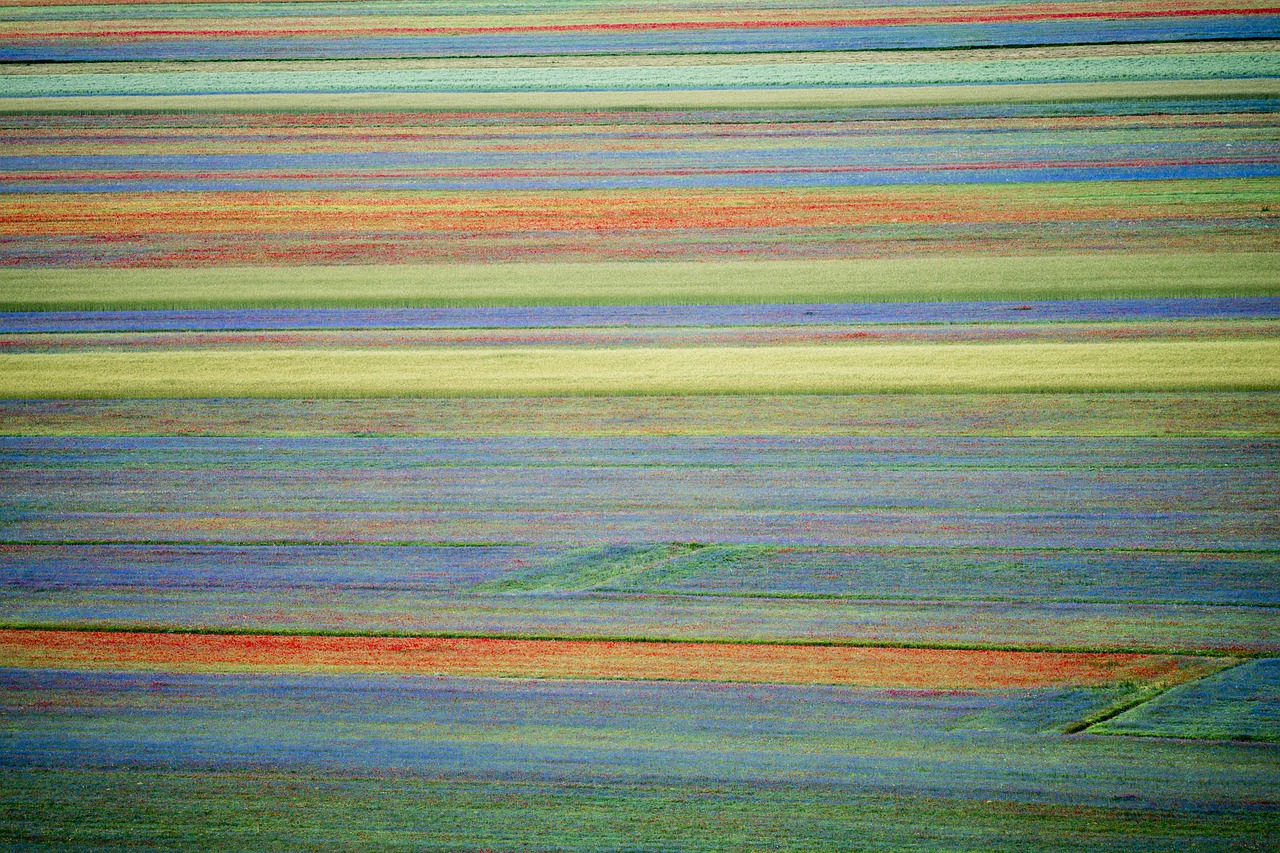 Castelluccio