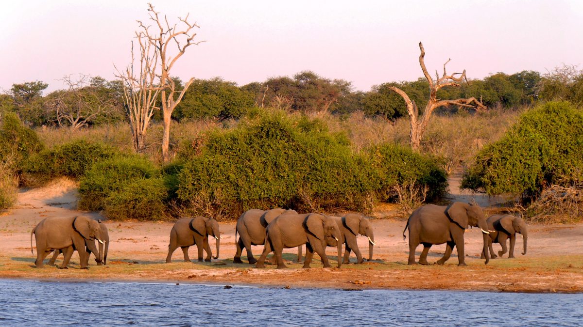 botswana-165