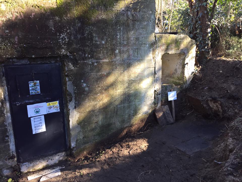 bunker